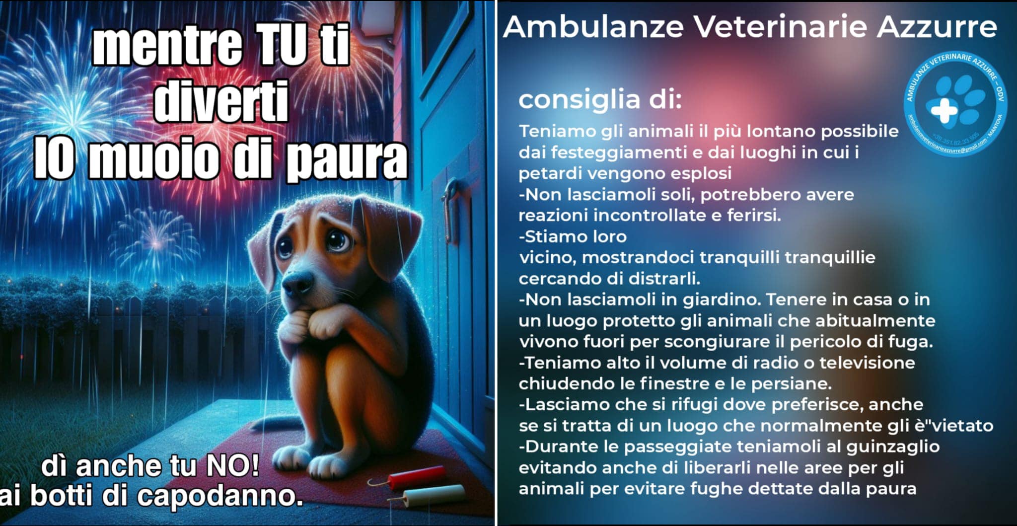 Per affrontare la paura dei botti di Capodanno, Ceva propone Adaptil -  PetB2B