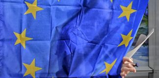 La Lega vola nel mantovano: primo partito con il 43,46%