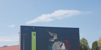 Calcio a 5 Serie A – Kaos, oggi il verdetto sul NeoLu?