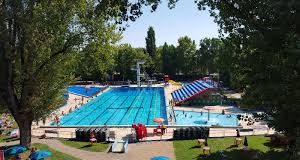 Alla Dugoni di Mantova una giornata di raccolta fondi contro l’ittiosi lamellare Domani alle piscine Dugoni di Mantova una giornata di raccolta fondi per la ricerca sull'ittiosi lamellare