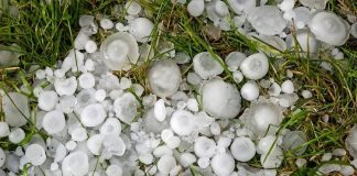 Governo riconosce eccezionalità eventi atmosferici nel mantovano. Domande entro il 30 aprile