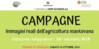 Scatti di campagna. Torna il concorso fotografico del Consorzio agrituristico mantovano