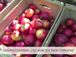 Oggi raccontiamo… Azienda Agricola Franzoni