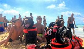 RISCHIANO DI ANNEGARE A OSTIA E A TRAPANI, SALVATI DAI CANI BAGNINI