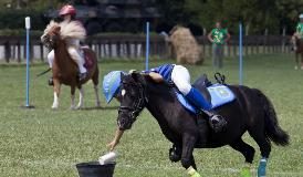 EQUITAZIONE: DAL 28 AL 31 AGOSTO A ROMA LA 14^ EDIZIONE DELLE PONYADI
