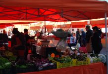 Mercato Lungorio, Agrimercato Mantova: “Aspettiamo dal Comune un nuovo bando”