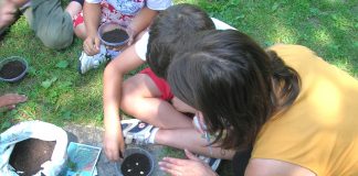 Semi e biodiversità: il Parco del Mincio entra nelle scuole di Mantova