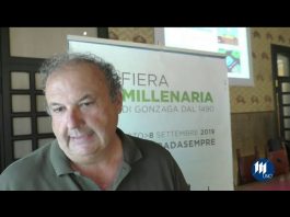 Millenaria Allevatori: per Aral mostra frisona, cavalli da traino e fattoria