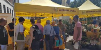 Yogurt e solidarietà con Campagna Amica sul Lungorio- E la CRI organizza un laboratorio per bambini Yogurt e solidarietà al mercato di Campagna Amica sul Lungorio- E la CRI organizza un laboratorio per bambini