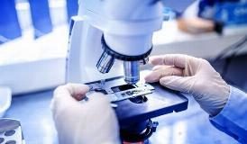 GRAZIE AL DNA SARÀ POSSIBILE SCOPRIRE UN TUMORE PRIMA CHE SI SVILUPPI