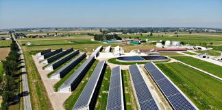 Millenaria, “Giovane Terra”, trionfa l’allevamento futuristico di Francesco Bianchini Millenaria, "Giovane Terra", trionfa l'allevamento futuristico di Francesco Bianchini