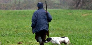 Caccia al via, nel mantovano 3.315 i cacciatori Caccia al via, nel mantovano 3.315 i cacciatori