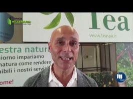 La Tea in fiera Millenaria, quest’anno la collaborazione è con Pompea