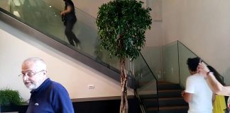 Palazzo Te si scopre con realtà virtuale e aumentata. E arrivano book shop e lo spazio per bambini