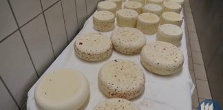 Giro dei Prati Stabili: un viaggio alla scoperta del territorio e del Grana Padano