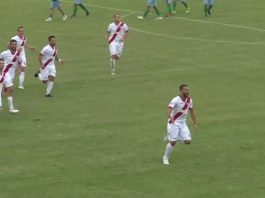Calcio Serie D – Vigor Carpaneto-Mantova 1-3, gli highlights