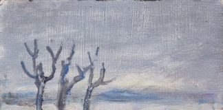 Da sabato la mostra di Vasco Corradelli alla Casa del Mantegna