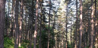 L’EDUCAZIONE AMBIENTALE ENTRA NELLE SCUOLE