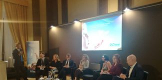 DE MICHELI “SOSTENIBILITÀ E INNOVAZIONE MOLLA PER POLITICHE ATTIVE”