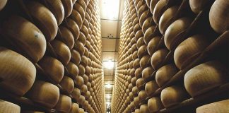 DAZI USA, PARMIGIANO REGGIANO SUBIRÀ IL COLPO PIÙ DURO