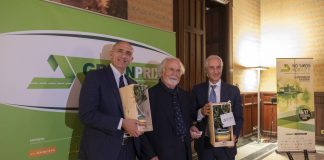 MOTORI, I GREEN PRIX 2019 ASSEGNATI A NISSAN E PSA