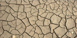 COLDIRETTI, AL SUD È ALLARME SICCITA’