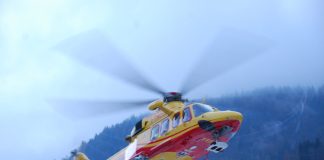 Taglia la legna col marito, la catena della motosega la ferisce al collo. Grave una 60enne di Mantova Taglia la legna col marito, la catena della motosega la ferisce al collo. Grave una 60enne di Mantova