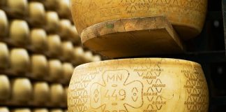 Grana Padano e Fondazione Rava ancora insieme per i bambini di Haiti