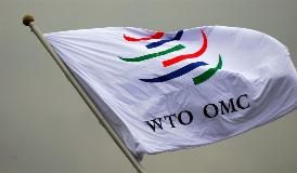 DAL WTO VIA LIBERA AI DAZI USA