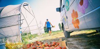 Fondi PSR, apre la misura dedicata ai prodotti agricoli. Domande a partire dal 30 novembre