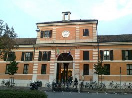 La Biblioteca Baratta festeggia il 25° compleanno con una settimana di eventi La biblioteca Baratta