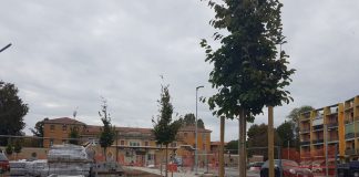 Modifiche d’accesso all’ospedale: le info per pedoni e automezzi