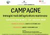 Ultimi giorni per partecipare al concorso fotografico “Campagne 2019”. Il termine è il 19 ottobre 2019
