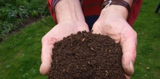 RIFIUTI, NASCONO I MINI IMPIANTI PER IL COMPOST A CHILOMETRO ZERO
