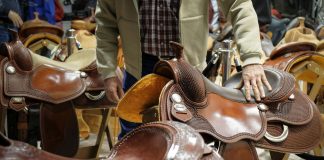 TORNA A VERONA FIERACAVALLI, IN MOSTRA OLTRE 2 MILA ESEMPLARI
