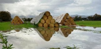 BOMBA D’ACQUA SU CASERTA, CAMPI ALLAGATI E STALLE DISTRUTTE