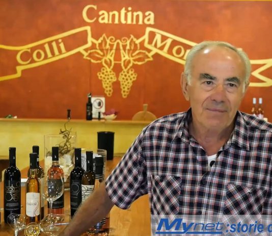 MyNet – Fibra Ottica – Cantina Colli Morenici