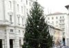 Domani accensione dell’albero di Natale di piazza Martiri di Belfiore L'albero di Natale dell'anno scorso