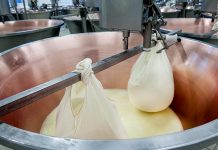 Dop Economy, assessore Beduschi: “Mantova la provincia che cresce di più in Italia”