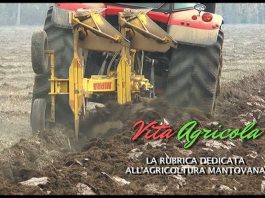 Puntata 10 – Vita Agricola – Venerdì 7 febbraio 2020