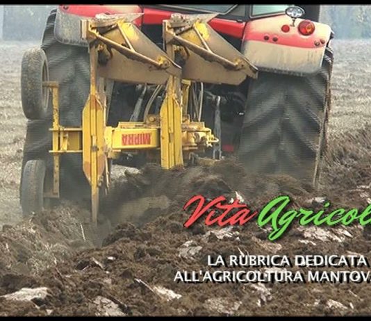 Vita Agricola – Puntata 1 – Venerdì 22 novembre 2019