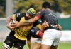 Rugby – Il Viadana si mette in pausa aspettando Fiamme Oro e Rovigo