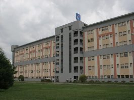 Ostiglia, incendio nel garage: coppia di anziani finisce all’ospedale Tutti insieme in un locale per partita e risotto: focolaio a Pieve di Coriano con ricoveri in terapia intensiva