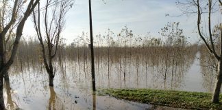 Piena del Po, alle 17 chiudono i ponti di Viadana-Borettto e Dosolo-Guastalla.