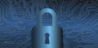 OPERAZIONE CONTRO IL CYBER-RICICLAGGIO, IDENTIFICATI 170 “MONEY MULES”