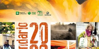 Con i mercati contadini un calendario che racconta la vita agricola