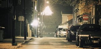 Illuminazione in strada Riviera Mincio e videosorveglianza davanti al canile: la giunta di Mantova punta sulla sicurezza