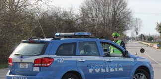 Trasporto animali: da inizio anno 26 le violazioni accertate. Negli ultimi giorni elevati più di 6mila euro di multe