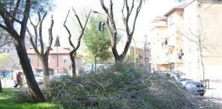 Rifiuti in agricoltura: Coldiretti ribadisce che sfalci e potature non sono classificabili in “urbani”. Allo studio la nuova normativa
