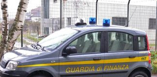 PESTE SUINA, SEQUESTRATE 10 TONNELLATE DI CARNE CINESE